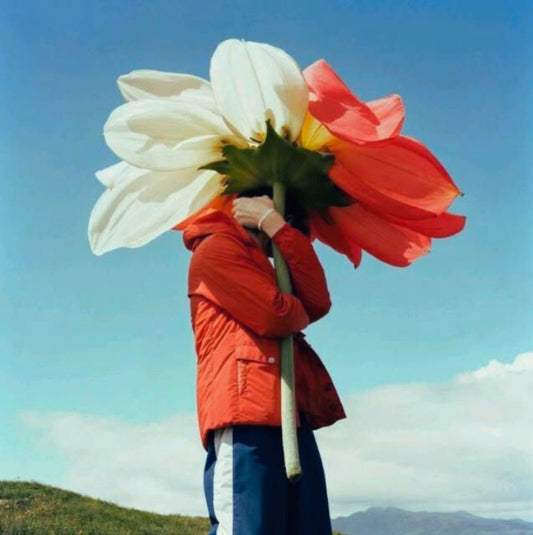 Blossom
