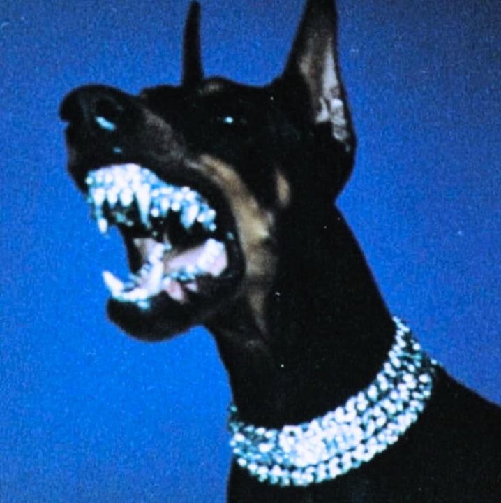 Dobermann